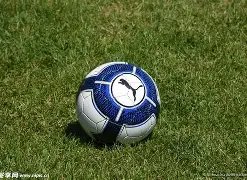 与电竞融合,创新赛决赛,盛大举行,OD体育官方,OD体育在线官网,OD体育线上,OD体育APP