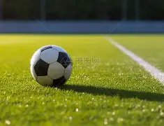 携手铸梦,共创冠军辉,煌未来,OD体育官方,OD体育在线官网,OD体育线上,OD体育APP