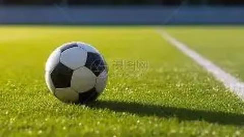 携手铸梦，共创冠军辉煌未来