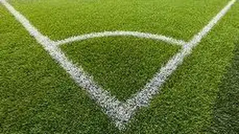 邓丽娟：奥运攀岩亚军，未来星光璀璨